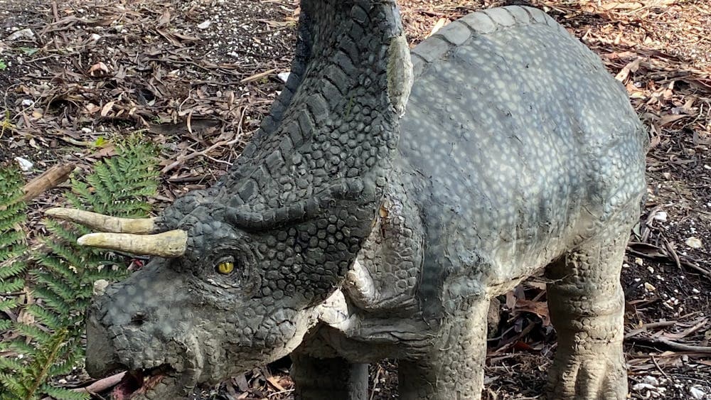 Baby triceratops