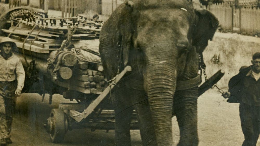The arrival of the circus always aroused a huge amount of excitement. ment