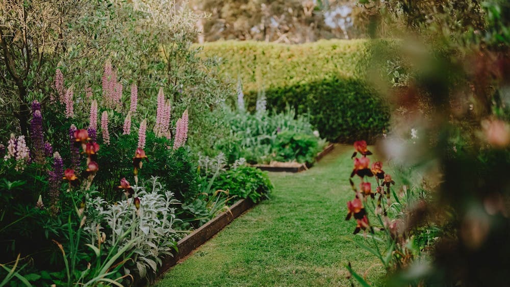 Harvest Cottage