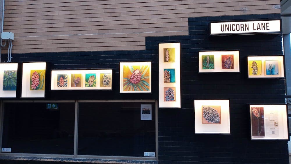 Photo of outdoor gallery with nine display boxes  on a wall, lit with the an exhibition on display.