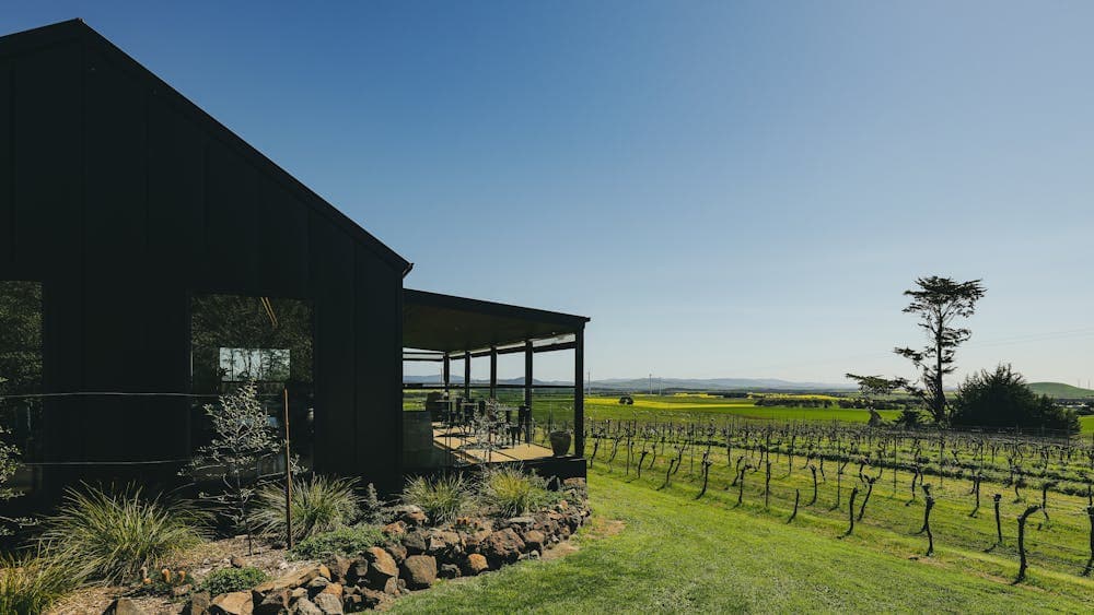 Wayward Winery views