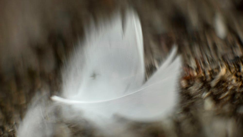 Paul Lambeth, ‘Within Sight #2’ 2025, 29.7 x 21 cm, giclee print on Hahnemuhle Photo Rag