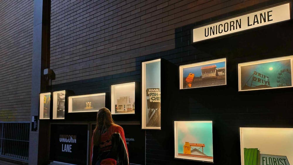Person looking at gallery display boxes with photographs at dusk with artworks it up by light.