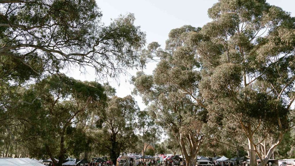 Birdseye View for the Pyrenees Unearthed Festival