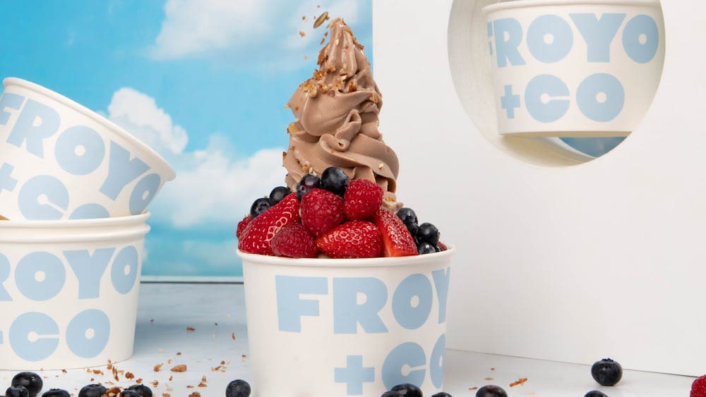 Froyo & Co Hero Image