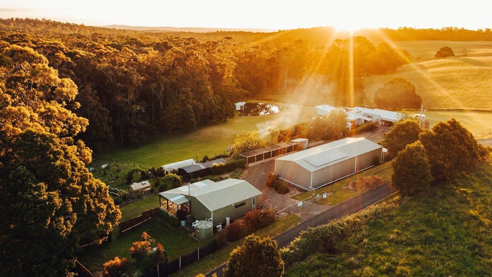 17 Pounds Country Estate