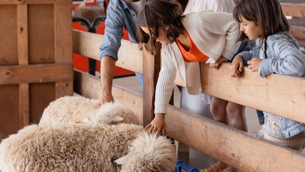 Family Fun at Creswick Woollen Mills