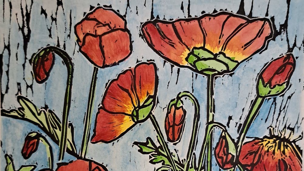 Colourful warm red poppies in a blue background from the Ballarat Botanical Gardens