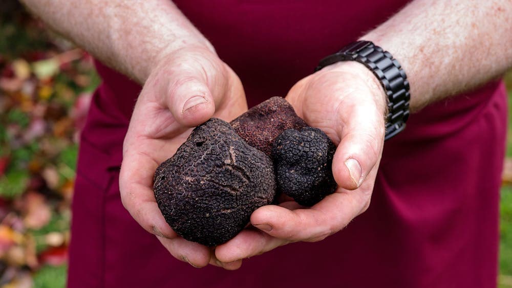 Black Cat Truffles