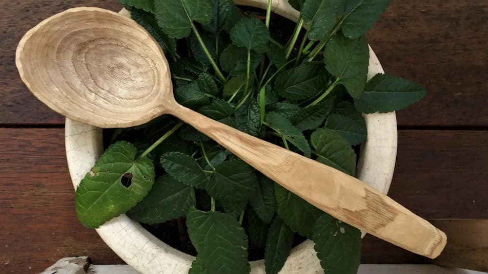 Wooden spoon resting on bowl filled with leaves