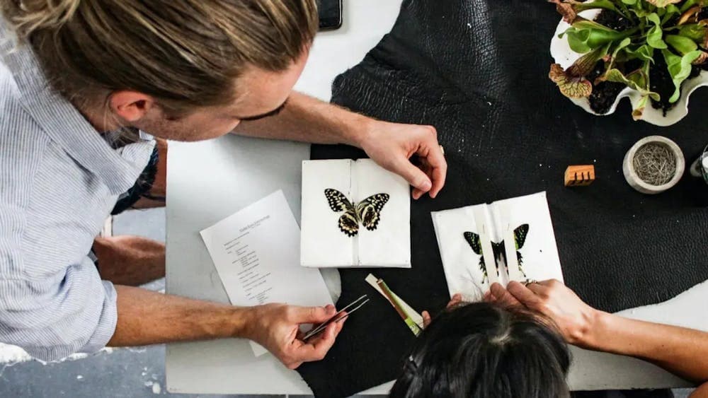 Two people pinning butterflies on paper