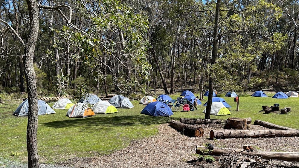 Tents set up in a private bushland tent site
