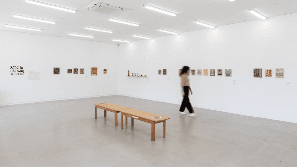 Art Gallery of Ballarat's Backspace Gallery