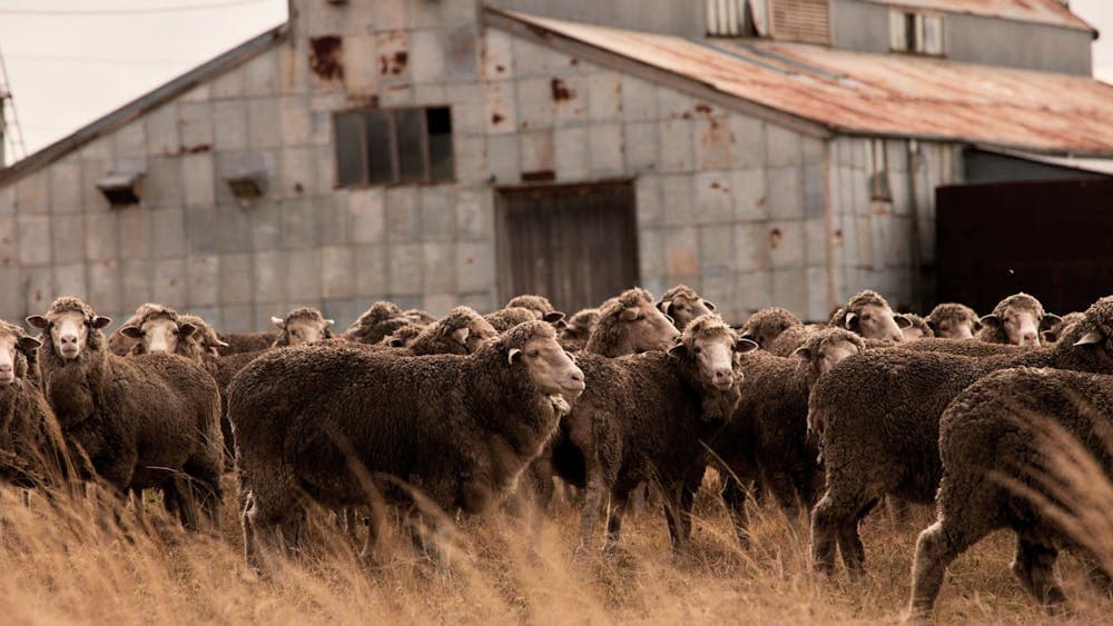 Discover our Recycle history