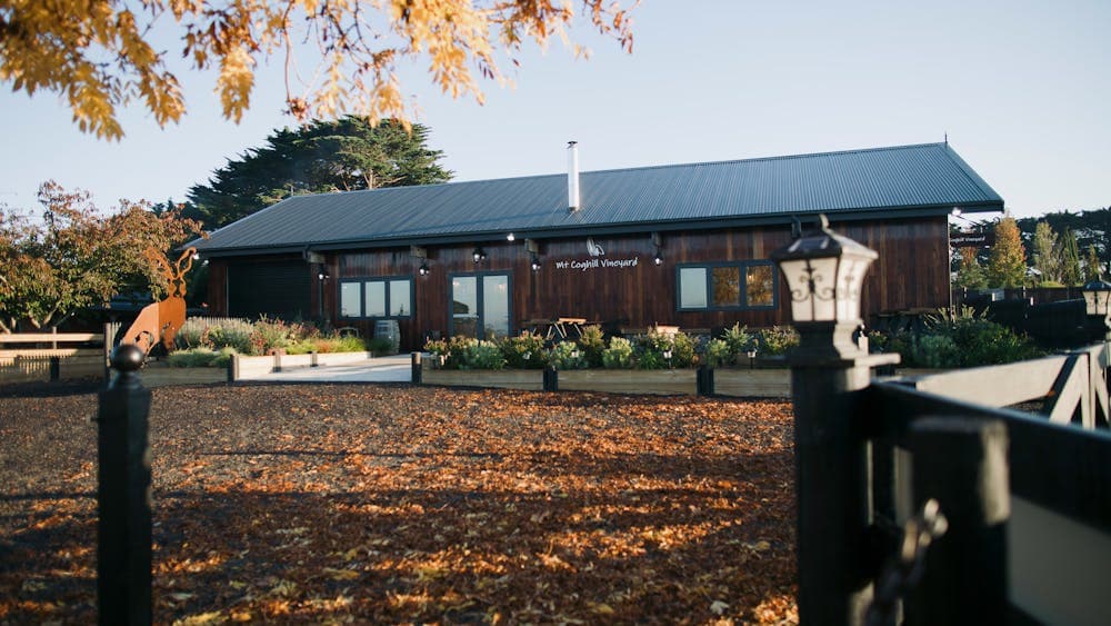 Mt Coghill Vineyard Front View