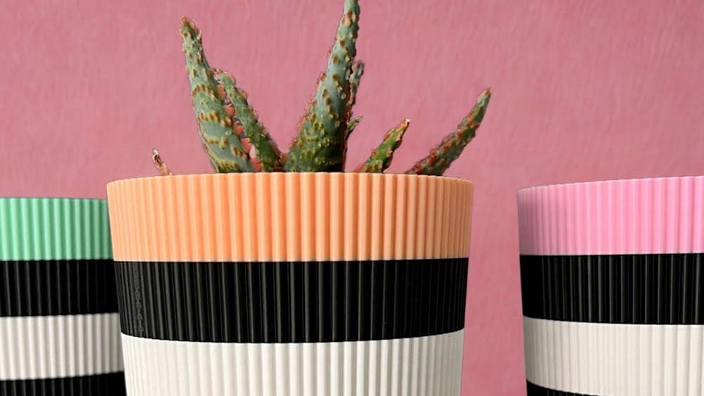 Colourful Planter Pots with Succulent