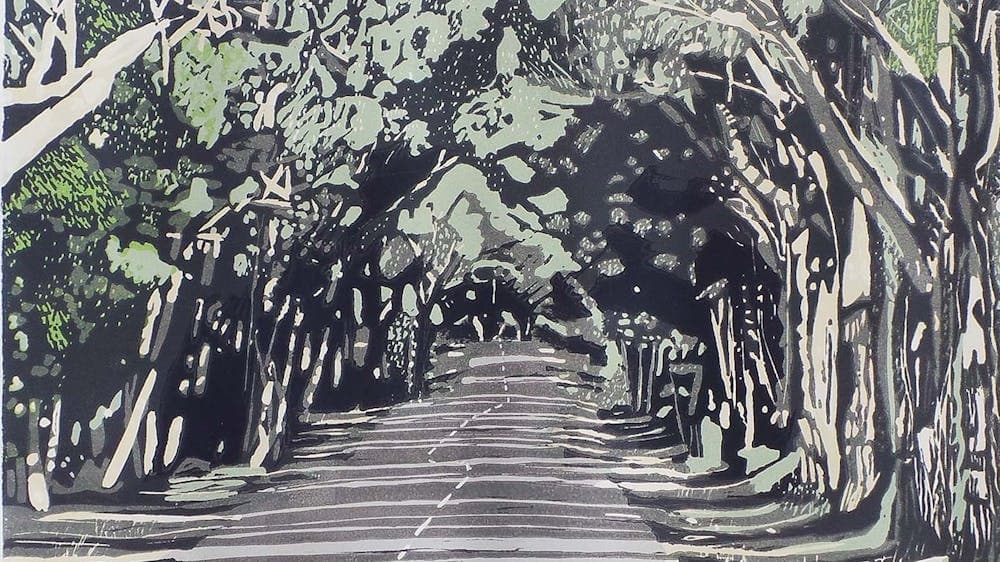 Treee over hanging road in country