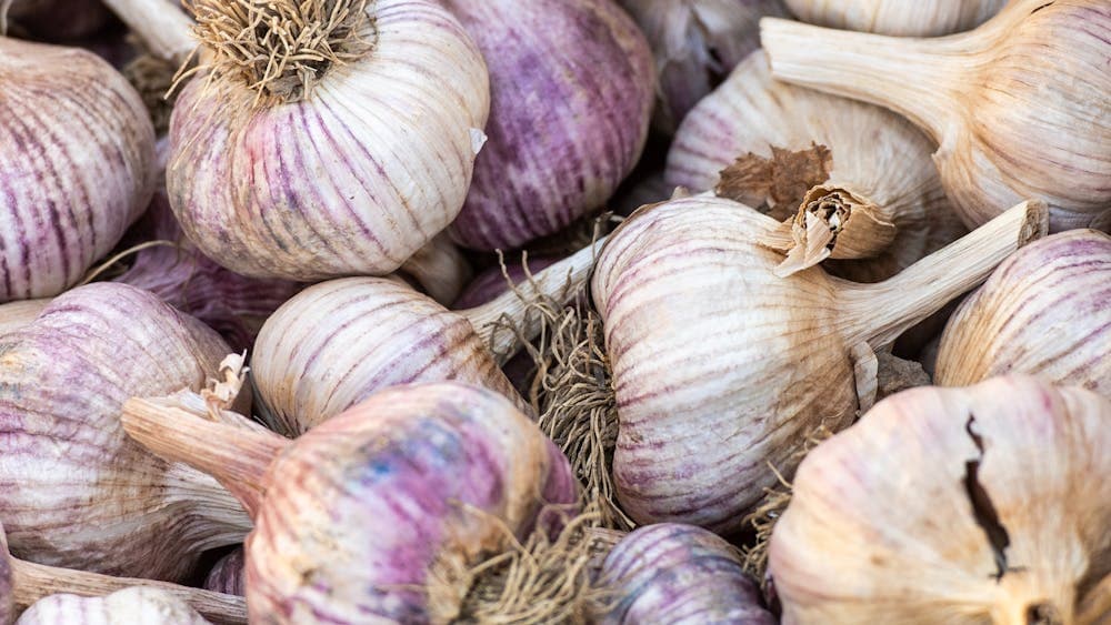 Garlic grown at The Paddock Lal Lal