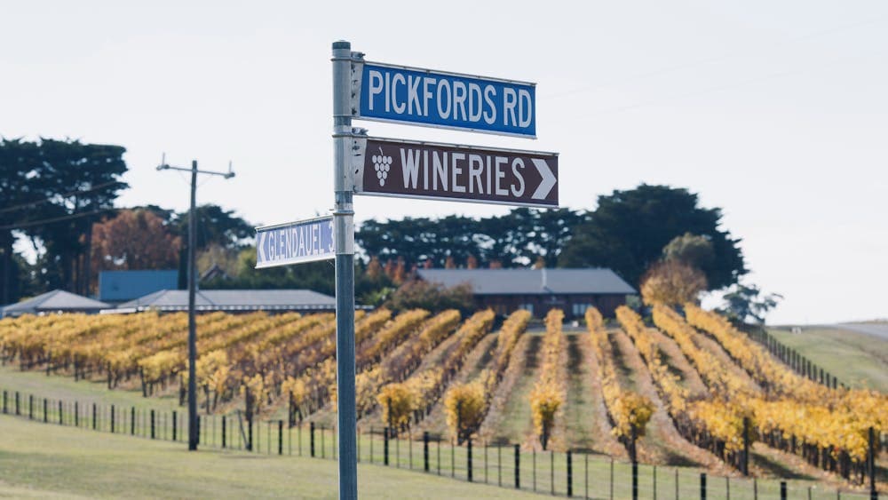 Mt Coghill Vineyard Road Signs