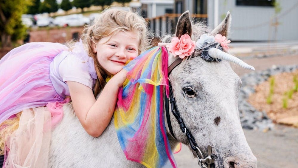 Unicorn Festival at Kryal Castle