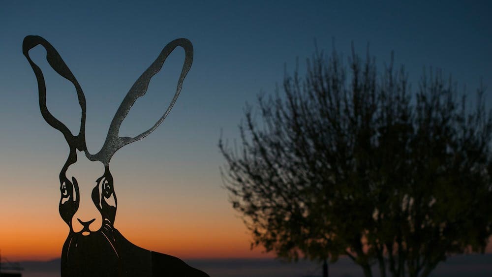 Mt Coghill Vineyard View morning sunrise