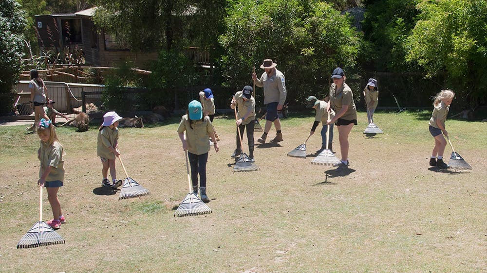Children as zoo keepers raking