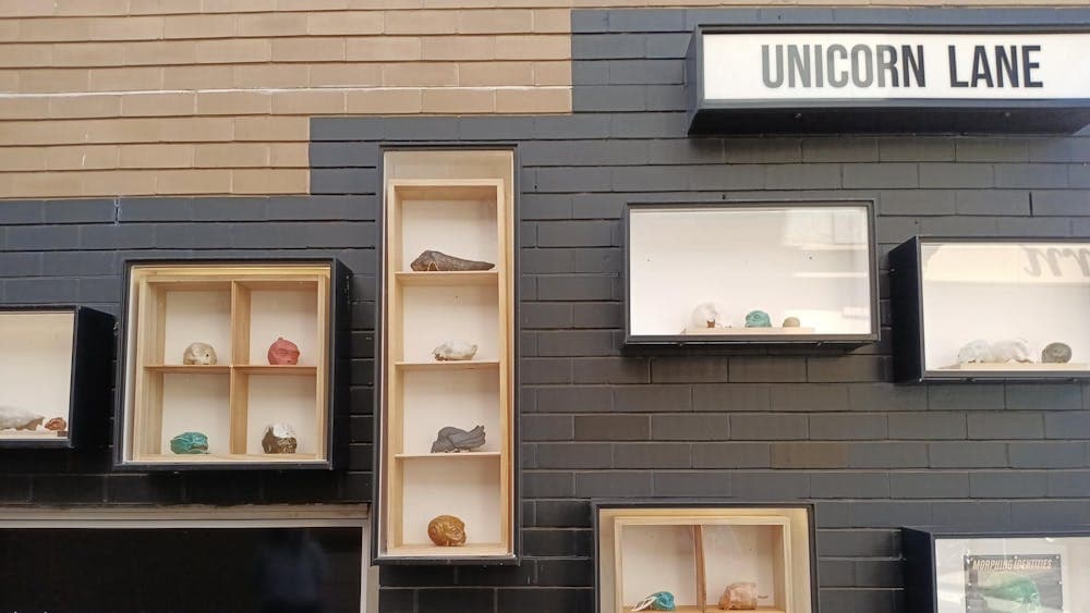 Gallery display boxes on a black wall filled with ceramic works installed on a black painted wall.