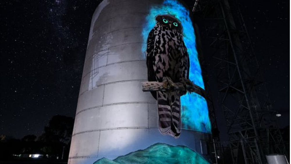 silo art, avoca, barking owl