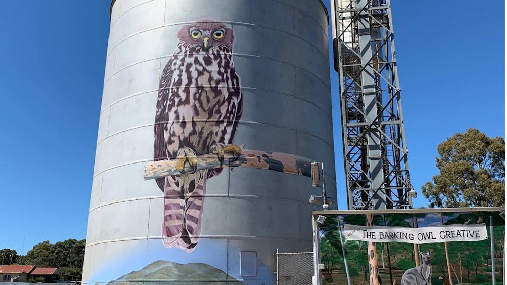 silo art, avoca, barking owl