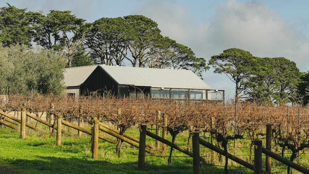 Wayward Winerys restaurant