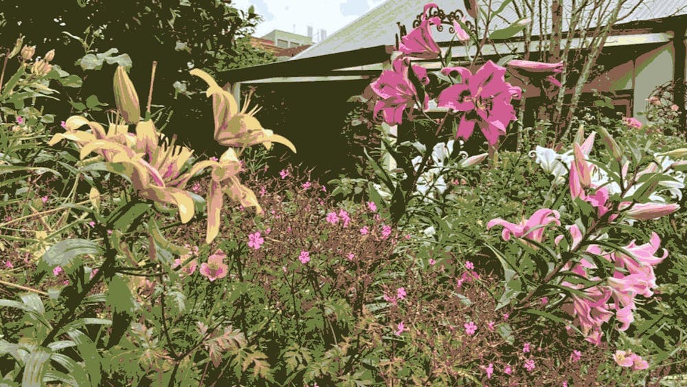 Thumbnail for Open Garden and Devonshire Tea, BMI Fundraiser – Errard Hall