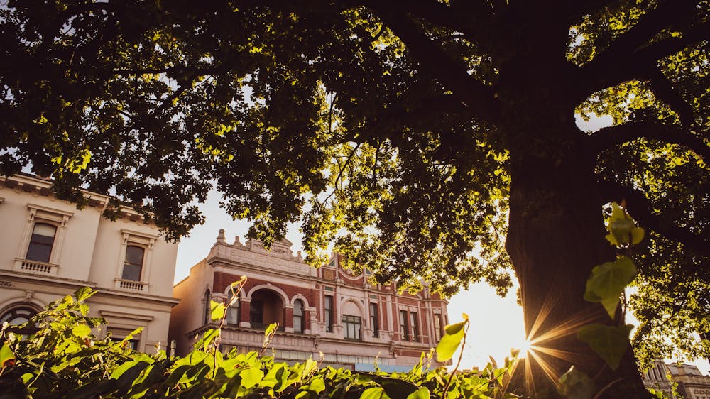Hidden Lanes, along Sturt Street Ballarat