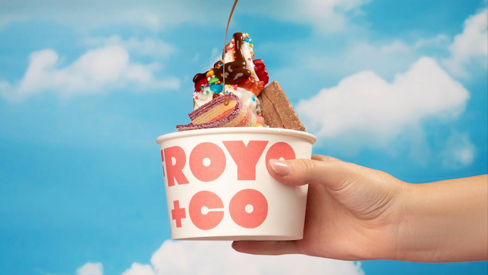 Froyo & Co Hero image