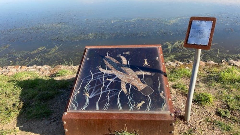 Koori art installation  platypus