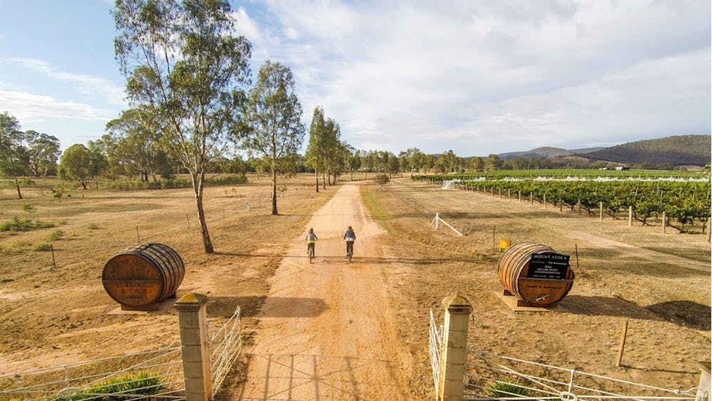 cycling, pyrenees winery, mount avoca,