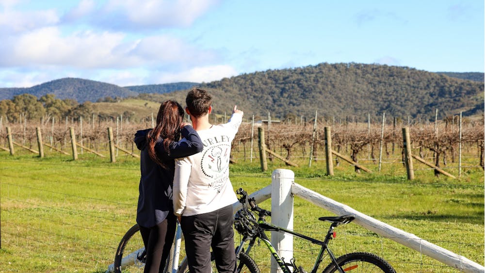 cycling, pyrenees, cycling wineries,