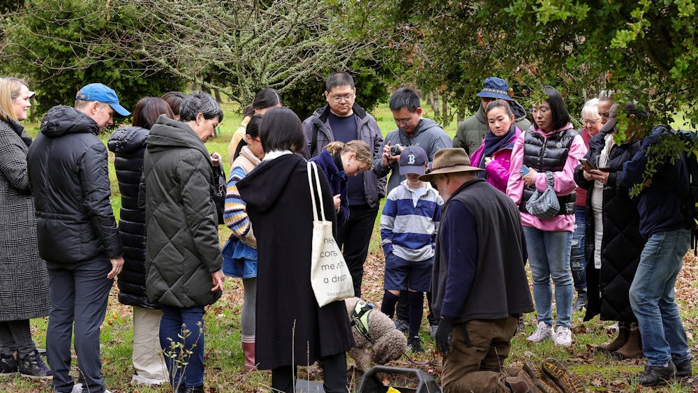 Digging up a truffle
