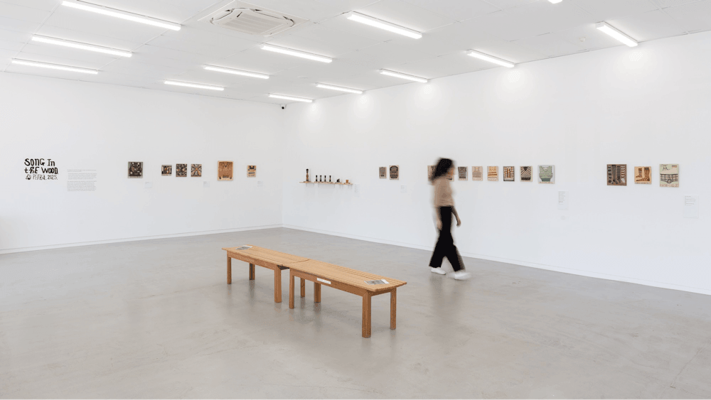 Thumbnail for Art Gallery of Ballarat / Backspace Gallery