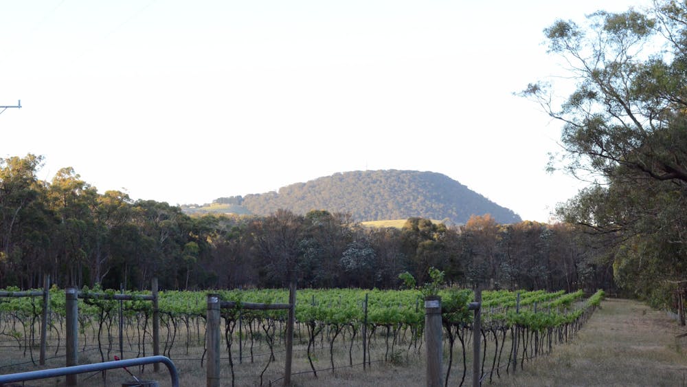 Views to Mt Buninyong