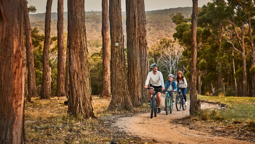 bike trail at RACV Goldfields Resort