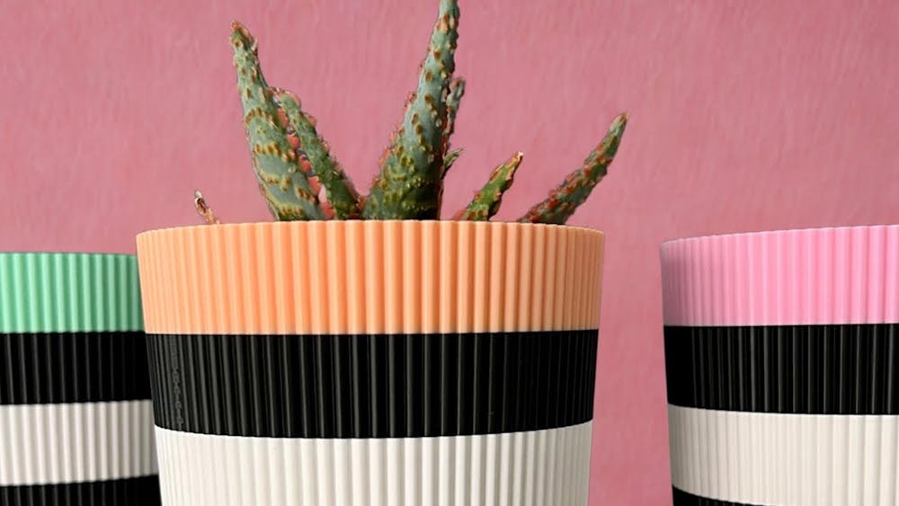 Colourful Planter Pots with Succulent