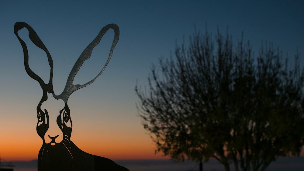Mt Coghill Vineyard View morning sunrise