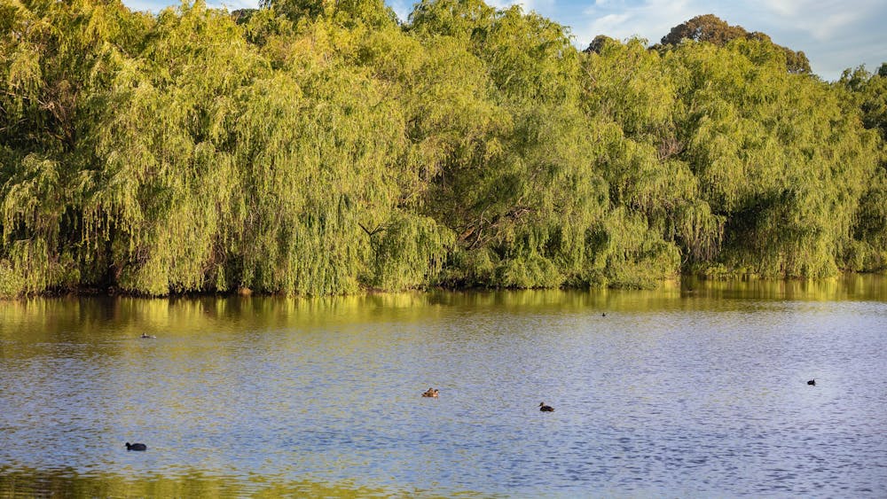 Lake
