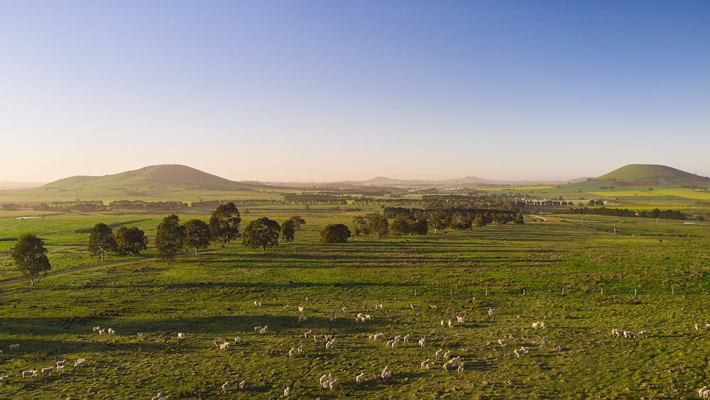 Tuki is a fourth-generation family farm and restaurant set high in Central Victoria.