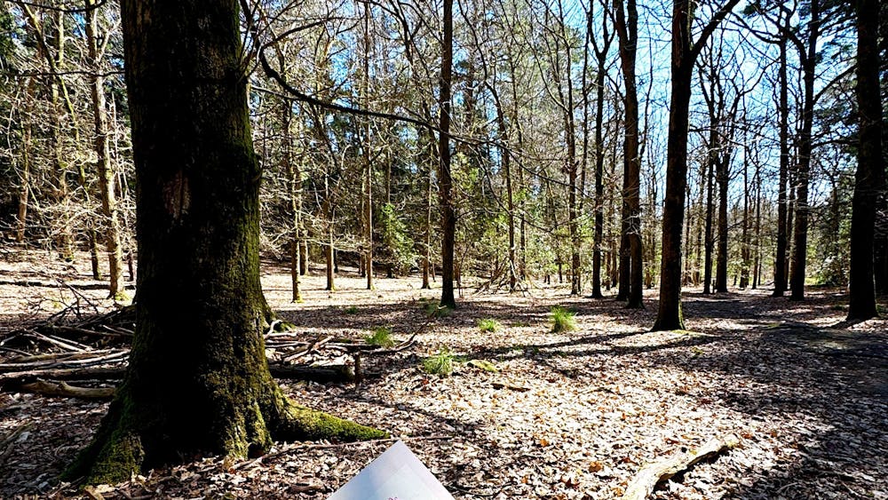Signage along La Gerche Forest Loop Walk