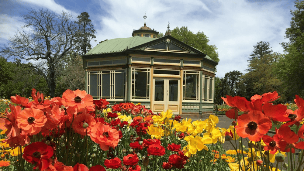 Thumbnail for Where Your Health Grows with the Friends of Ballarat Botanical Gardens