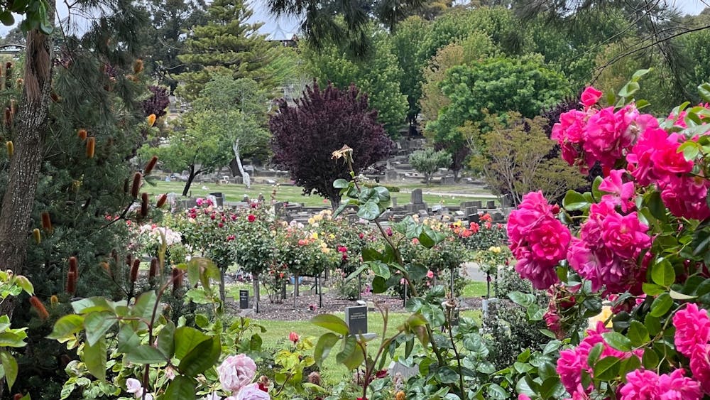 Ballarat New Cemetery roses Contemplation Gardens