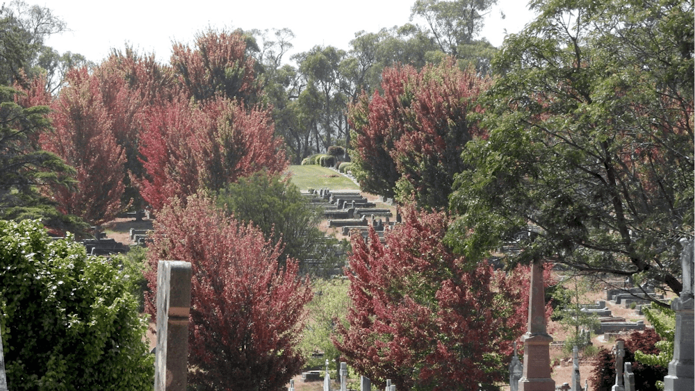 Ballarat New Cemetery autumn foliage Roman Catholic areas