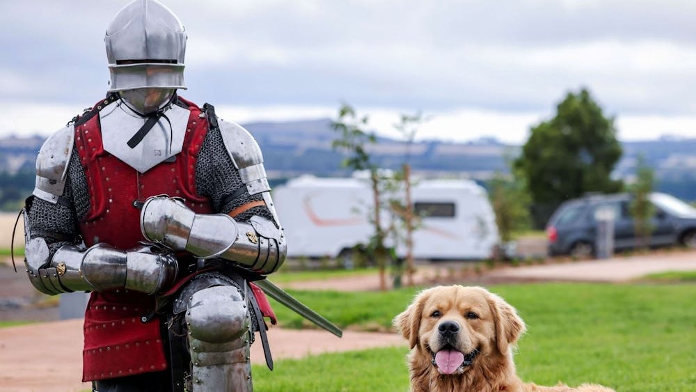 Thumbnail for Medieval Mutts