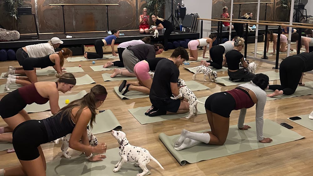 Thumbnail for Ballarat Cocker Spaniel Puppy Yoga Class